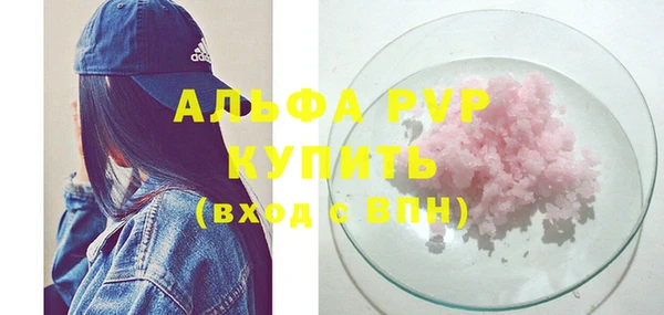 стафф Алзамай
