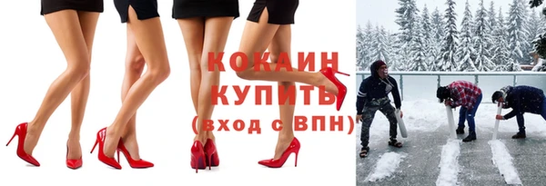 стафф Алзамай