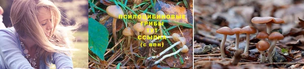 ешки Алексин