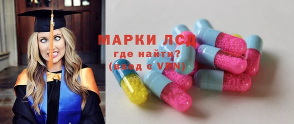 стафф Алзамай