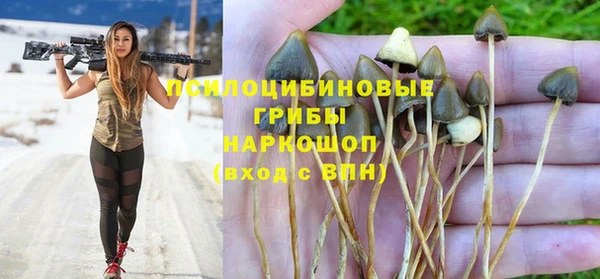 a pvp Алексеевка