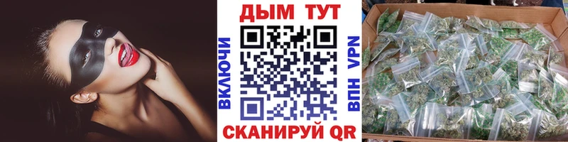 где найти наркотики  Южно-Сухокумск  Каннабис конопля 